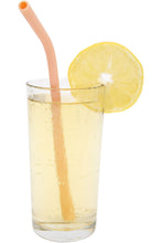 Load image into Gallery viewer, Image 02: Sunnylife Pique-Nique M Straws Multi S4
